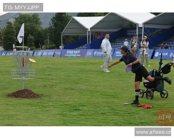 成都飞盘队的防反战术解析与实战应用探讨