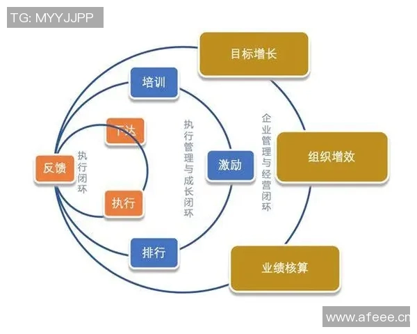 数据分析揭示成都篮球队在比赛中的团队协作表现及其影响因素探讨